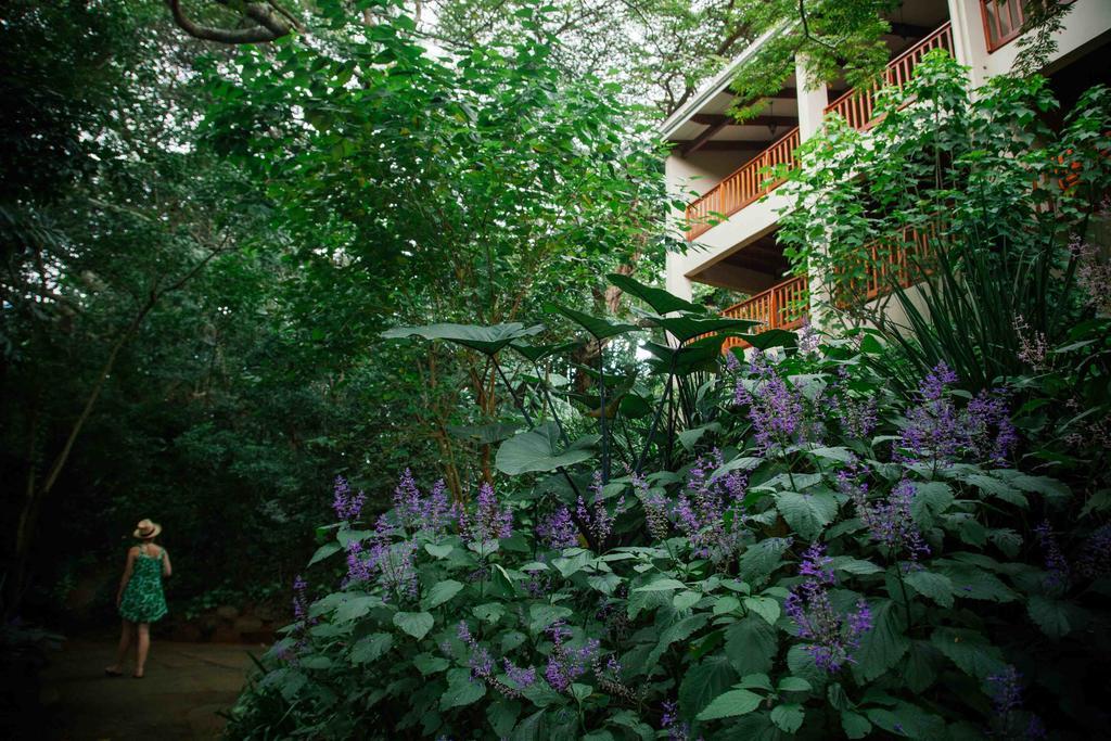 Honeywood Forest Lodge 포트 셉스턴 외부 사진